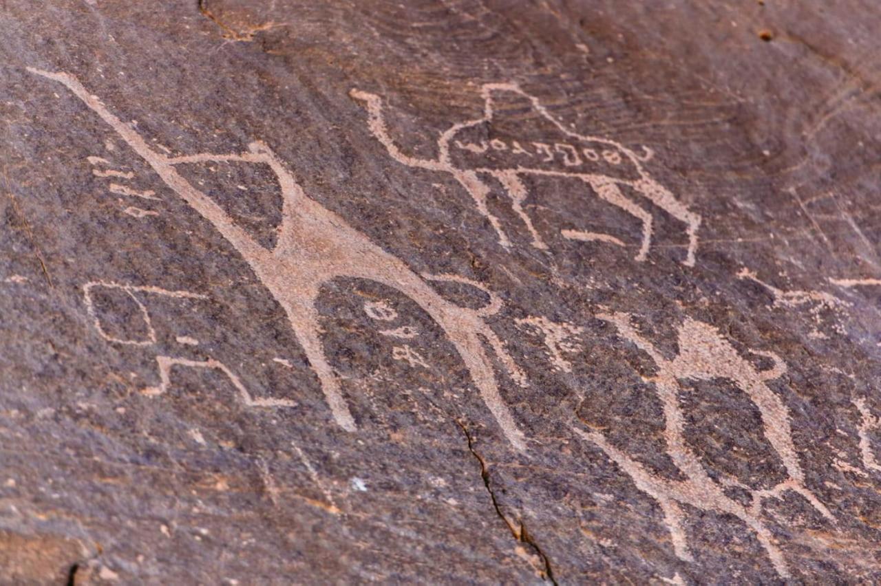 Harmony Luxury Camp Hotel Wadi Rum Luaran gambar