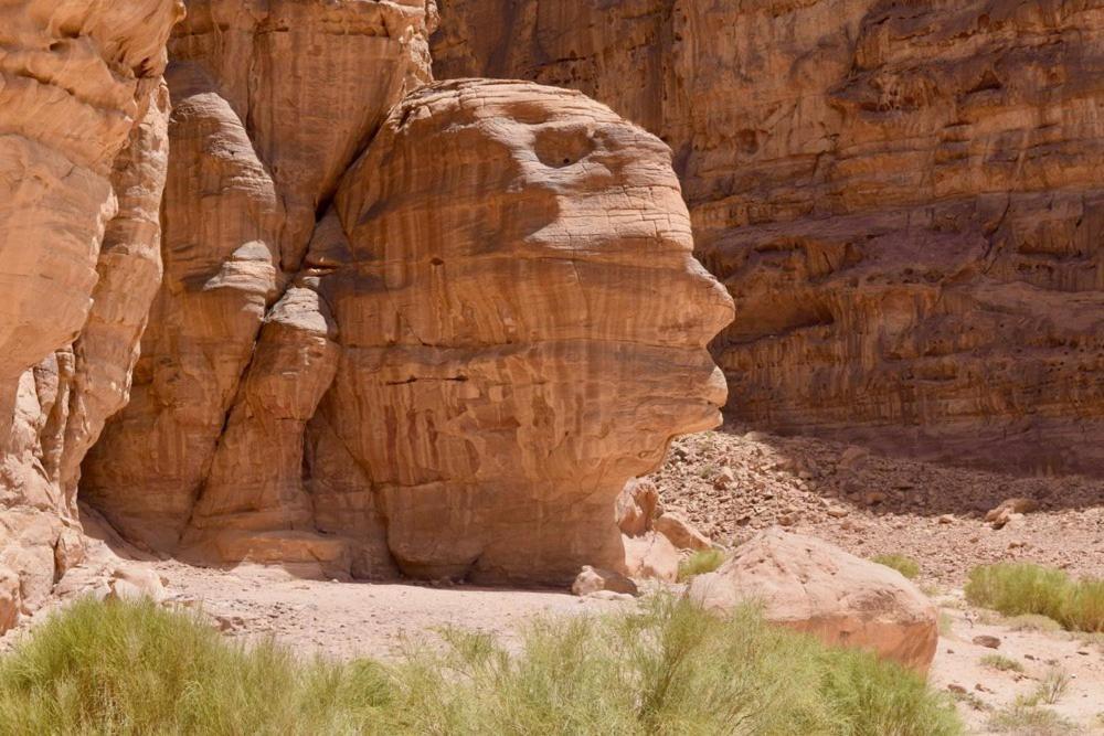 Harmony Luxury Camp Hotel Wadi Rum Luaran gambar
