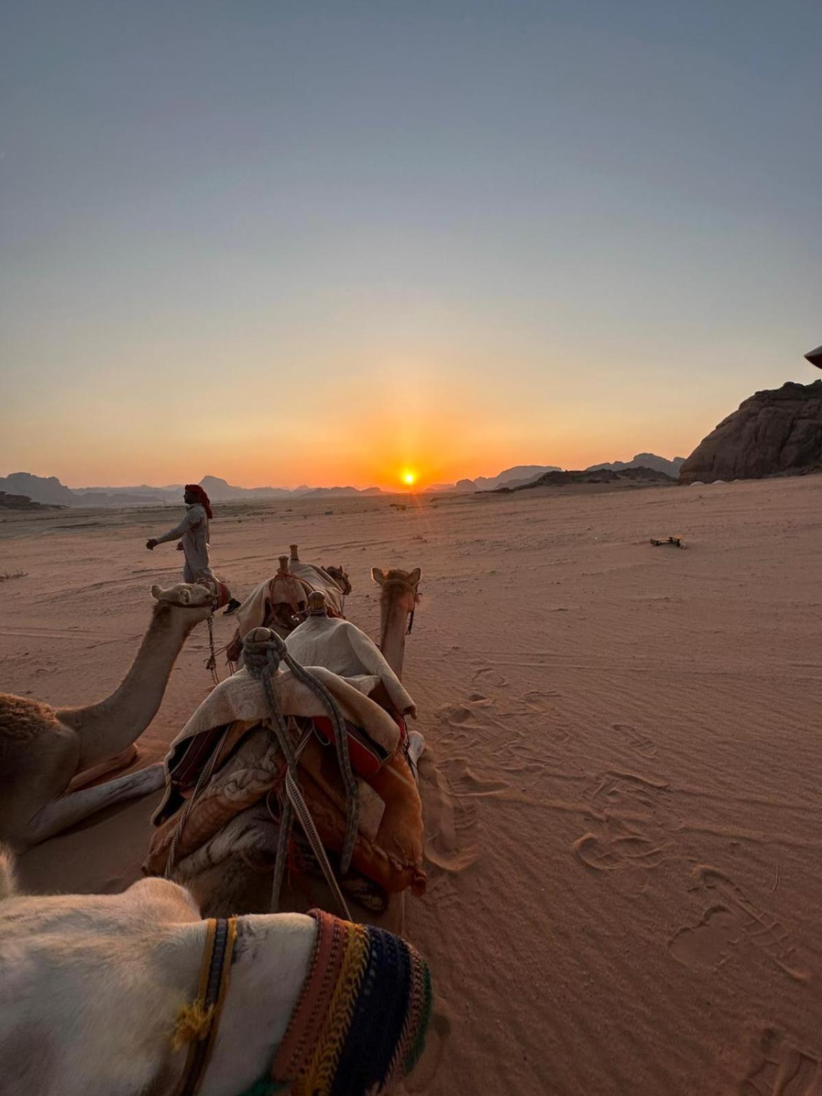 Harmony Luxury Camp Hotel Wadi Rum Luaran gambar